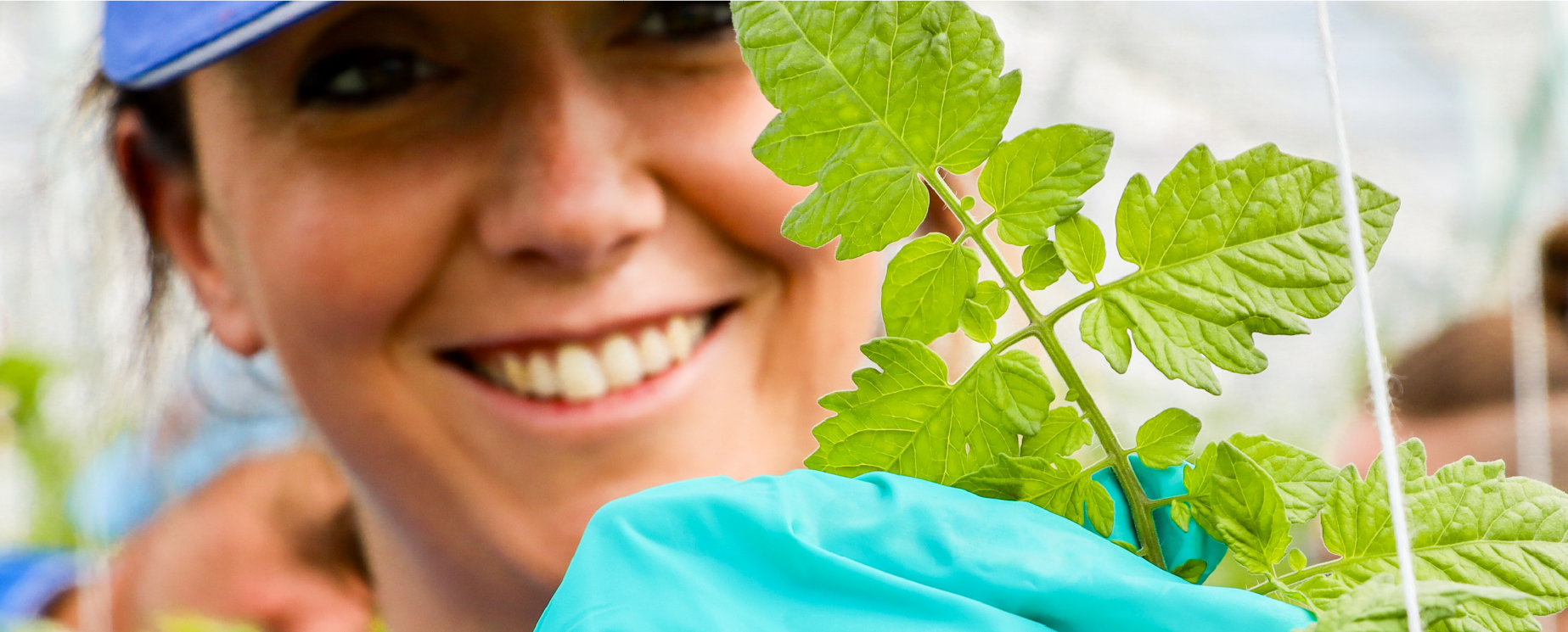 Femme souriante en serre de tomate